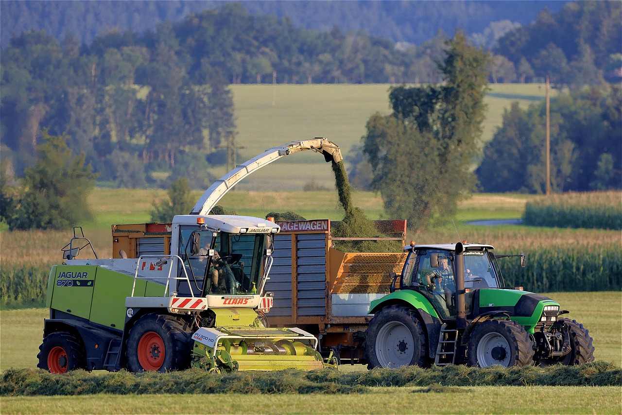 tractor, agriculture, agricultural machinery, green fodder, working machine, harvester, harvest, agricultural engineering, silage, agricultural economics, forage harvester, tractor, tractor, agricultural machinery, silage, silage, silage, silage, silage